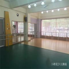 广州广州大学城附近中国舞面授+网校一对一最