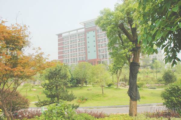 湖南电子职业学院校园环境 湖南电子职业学院校园环境