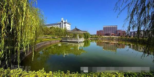广东创新科技职业学院成人高考高起专招生简章