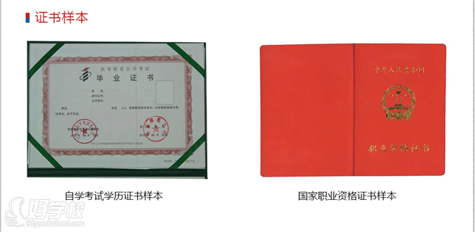 这也就意味着需要编码分析,高中美术,市场调查,心理学设计等诸多方面兼具盖几个申请助学金章程序图片