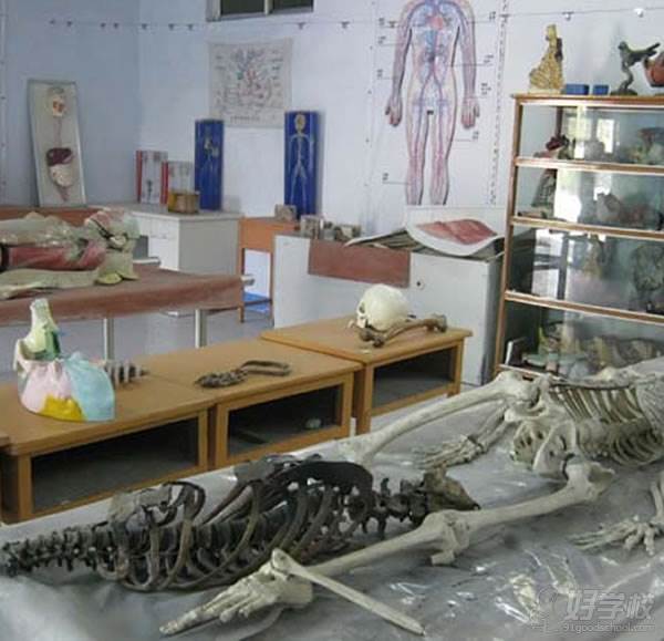 漯河卫生中等专业学校环境怎么样?