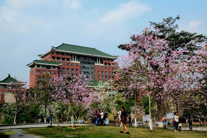 华南农业大学成人高考高起专广州招生简章