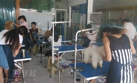 秀怡学员风采
