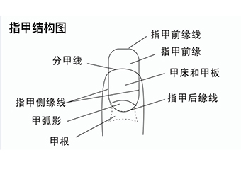 太原网红美甲培训入门班