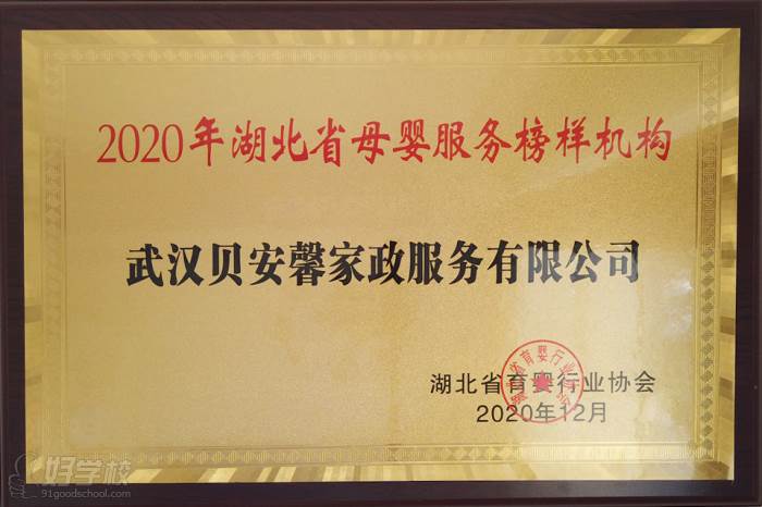 2020年湖北省母婴服务榜样机构