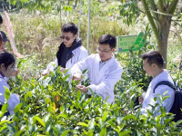 广州知仝文化茶艺学校之学员风采一览