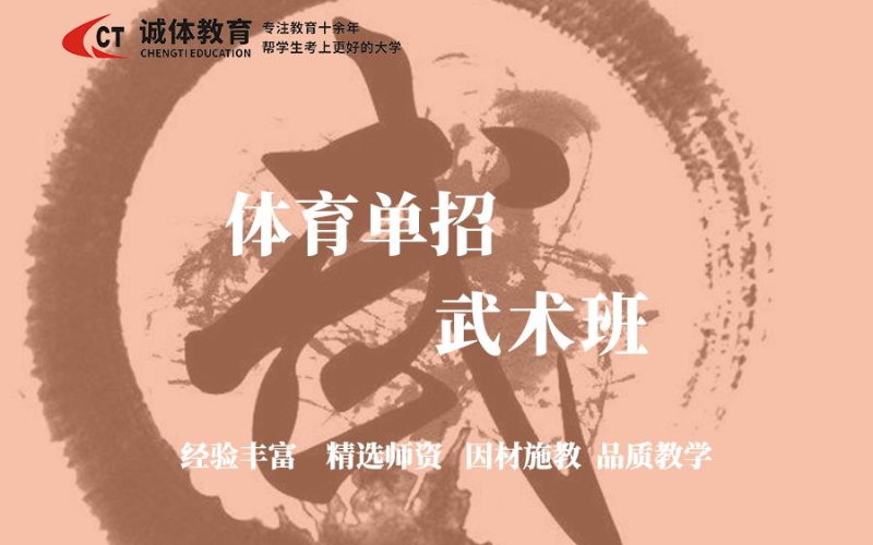 诚体教育体育单招武术班