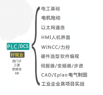 PLC/DCS