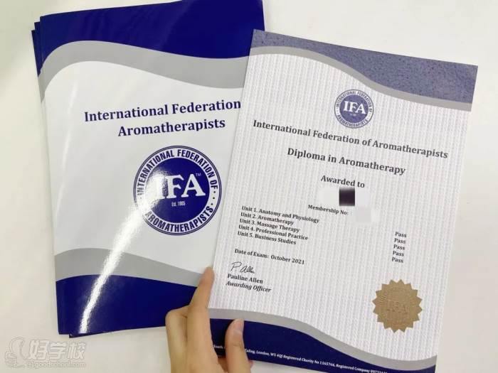 IFA证书展示