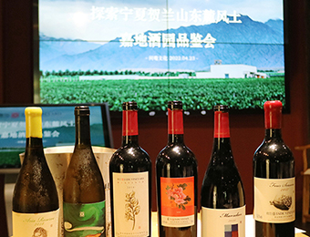 深圳智利葡萄酒产区认证课程