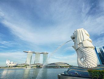 新加坡留学申请一站式服务