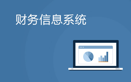 上海财务信息系统培训班
