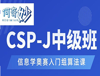 广东CSP-J青少年编程中级培训班