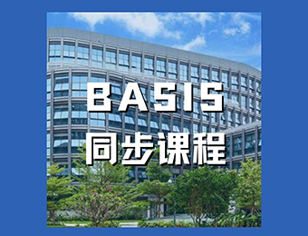 深圳BASIS贝赛思同步课程辅导班