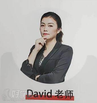 David老師