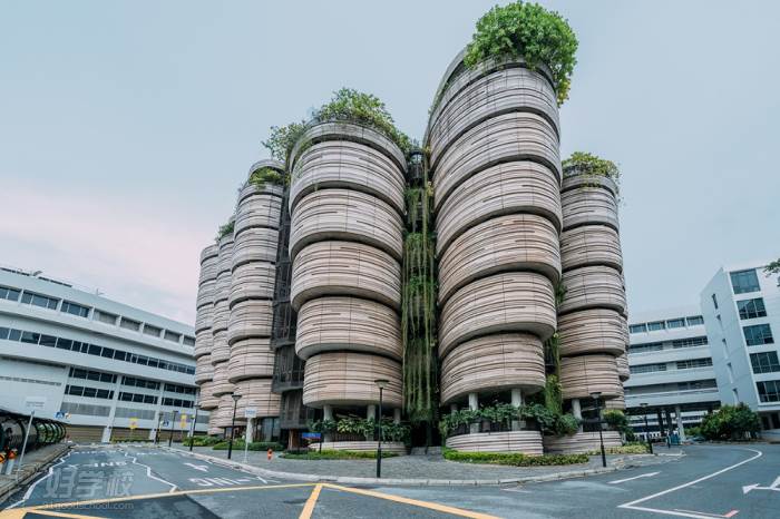 新加坡国立大学图书馆