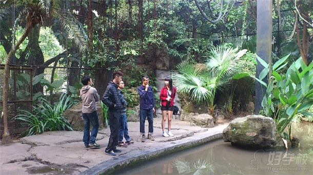 華商技工建筑裝飾1201班廣州動(dòng)物園參觀考察