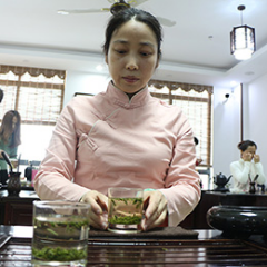 上海中级评茶员培训课程