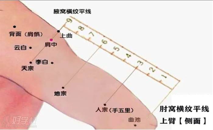 董氏奇穴特效穴位講解