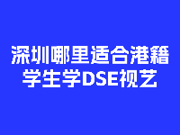 深圳艺启清央画室港澳DSE升学+中央美院考学