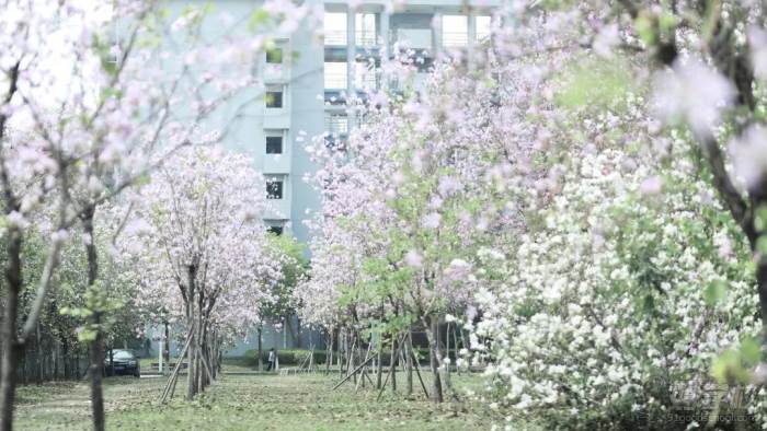 环境展示