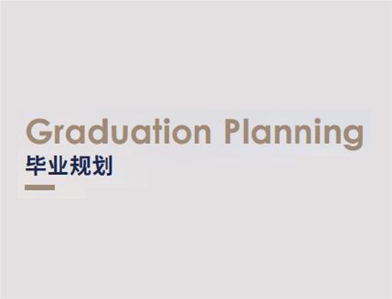 武汉毕业生规划服务项目