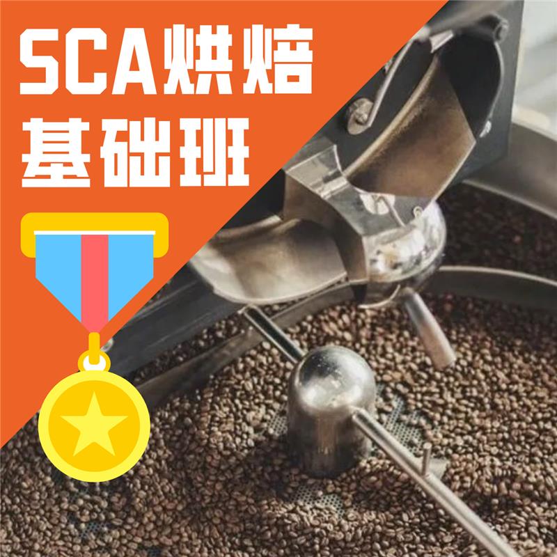 北京SCA烘焙师初级培训班