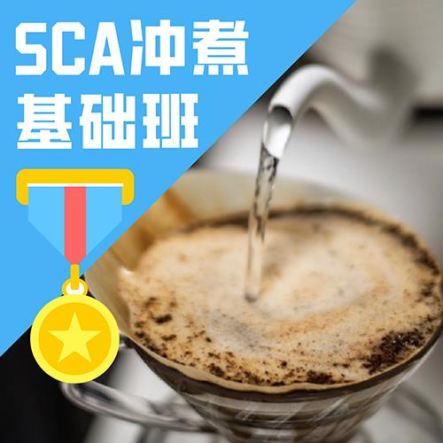 北京SCA冲煮初级培训班