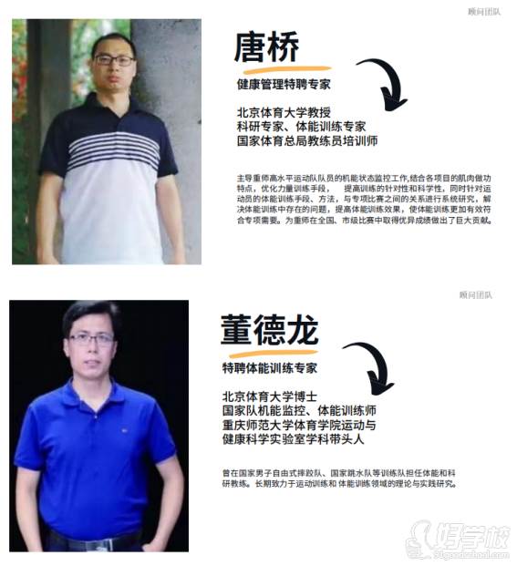 顾问团队