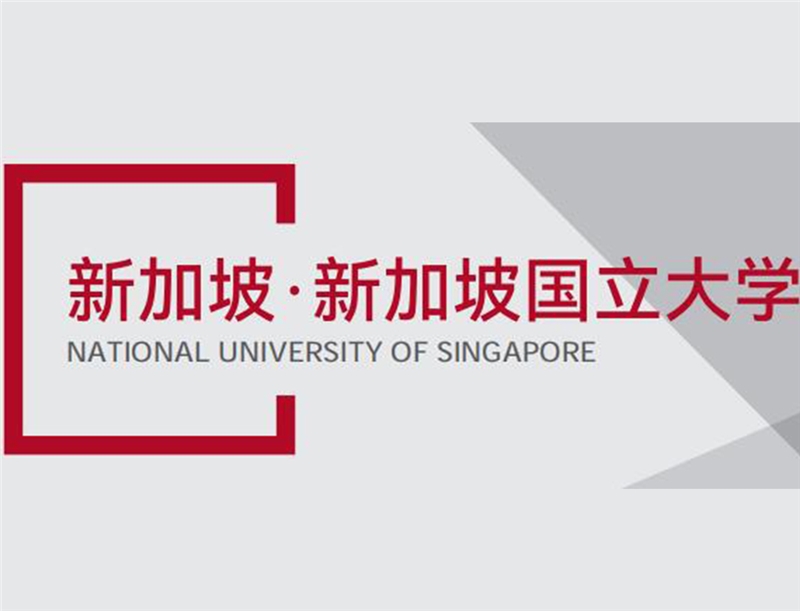 天津新加坡国立大学CEO&海外研学项目
