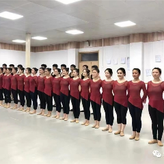 西安舞蹈（含国标）高考冲刺班