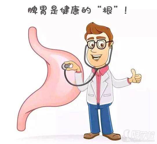 脾胃健康