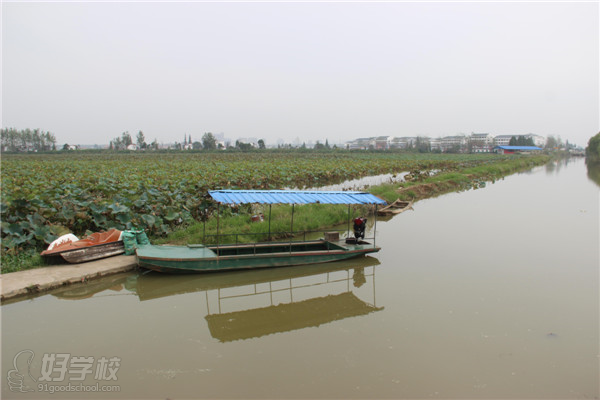 鹤龙湖美景