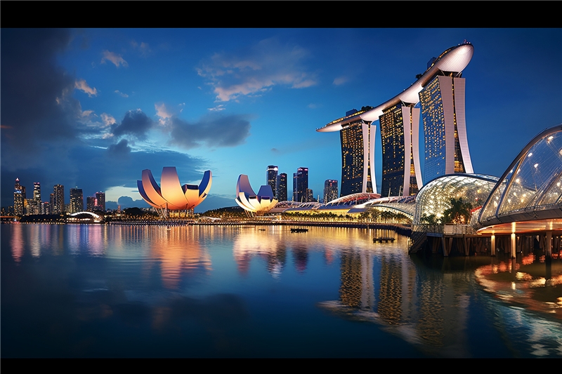 新加坡定制化全套留学申请服务