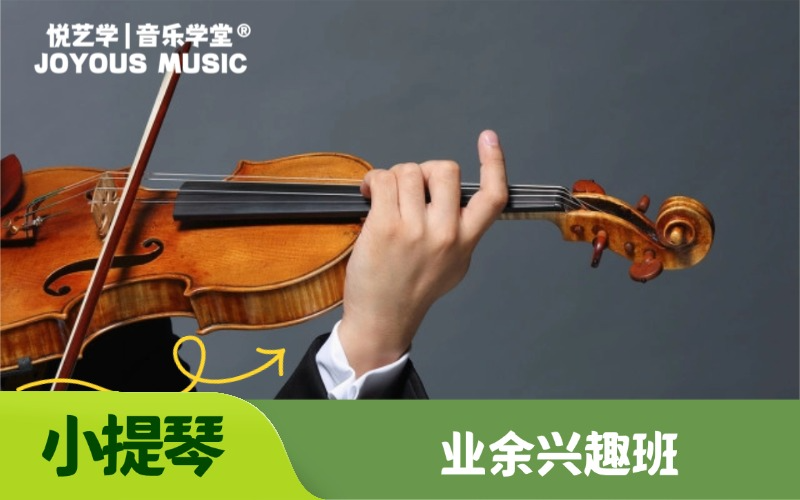 【北京】（业余）少儿一对一小提琴培训