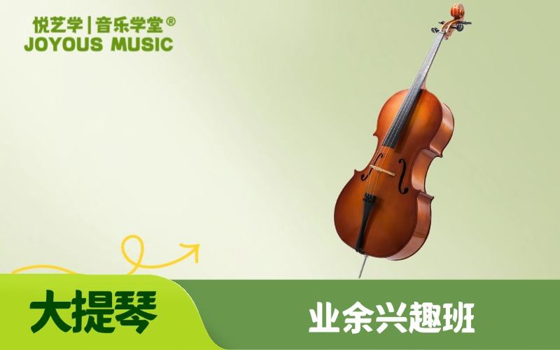 【北京】(业余)少儿一对一大提琴培训
