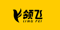 湛江領(lǐng)飛藝術(shù)教育