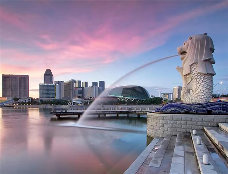 广州新加坡留学一站式申请服务