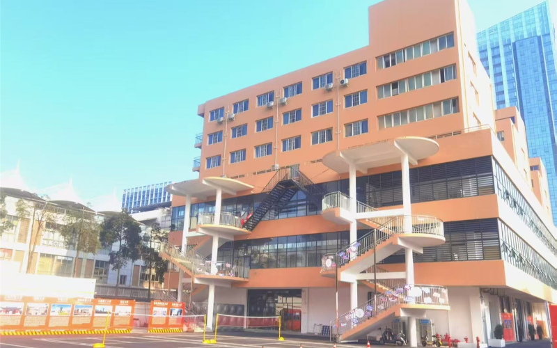 高考艺考文化冲刺集训营