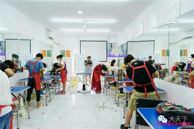 长沙秀怡宠物美容学校上课环境