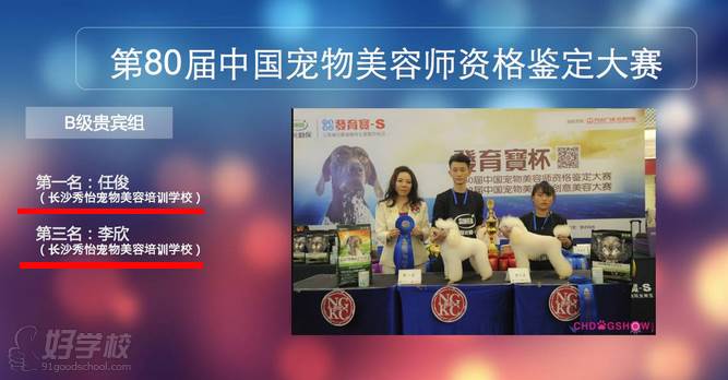 长沙秀怡宠物美容学校学员比赛现场