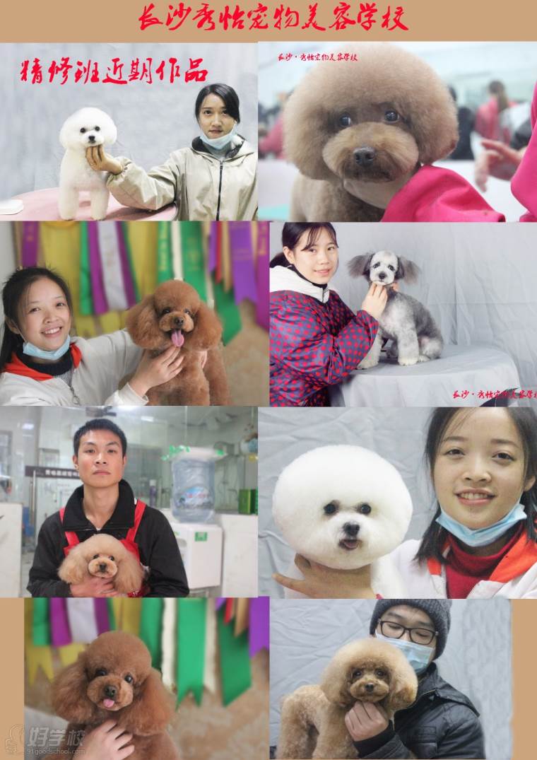 长沙秀怡宠物美容学校学员与作品