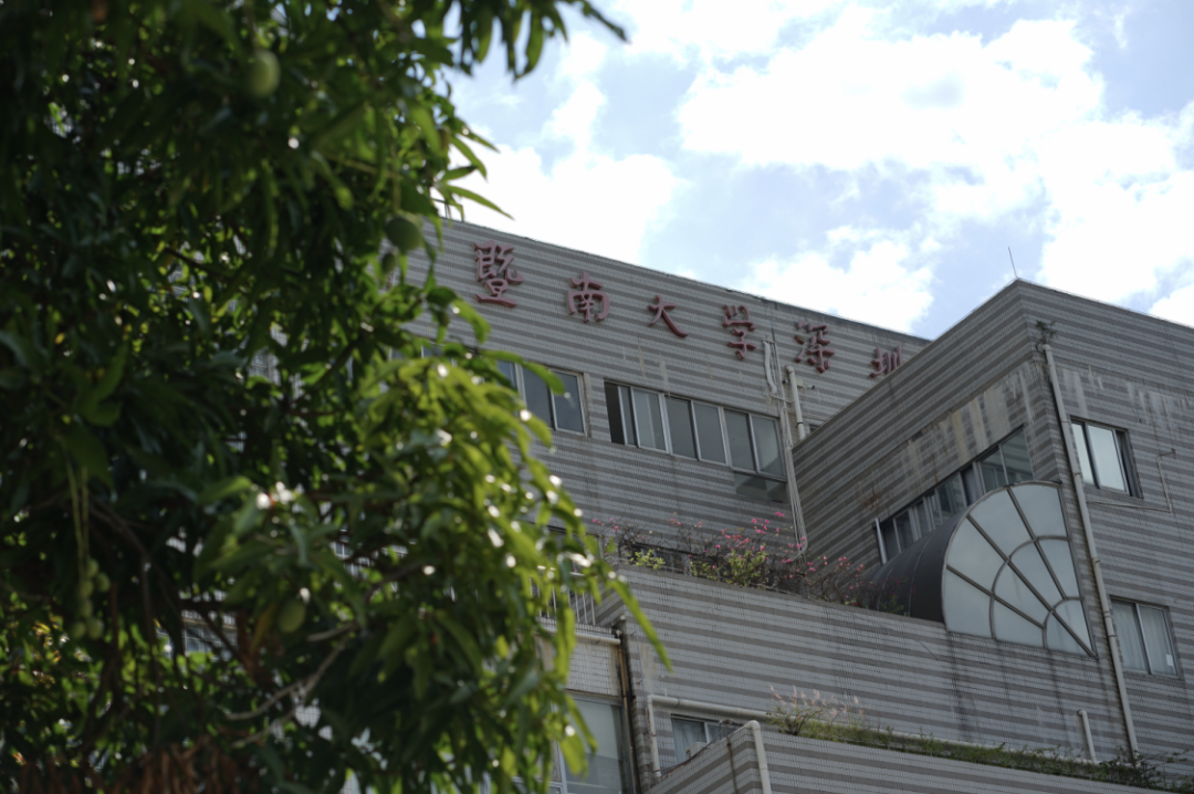 暨南大学深圳校区