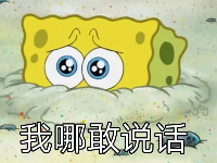 赴美留子們：Perm雇主移民進(jìn)入“冰河期”?