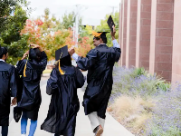  BTM贝特曼移民咨询