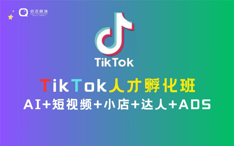 海外抖音TikTok人才孵化班