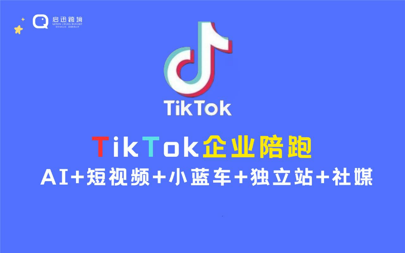 海外抖音TikTok-企業(yè)陪跑