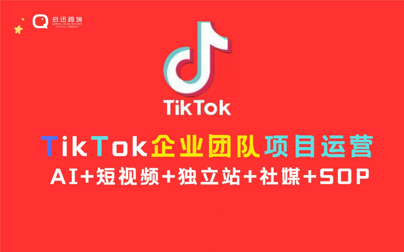 海外抖音TikTok-企业团队项目运营班