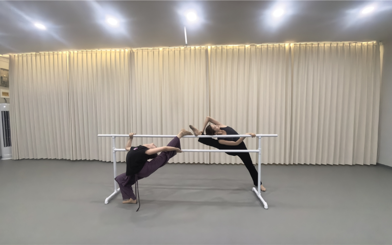 郑州舞蹈艺考专业课程