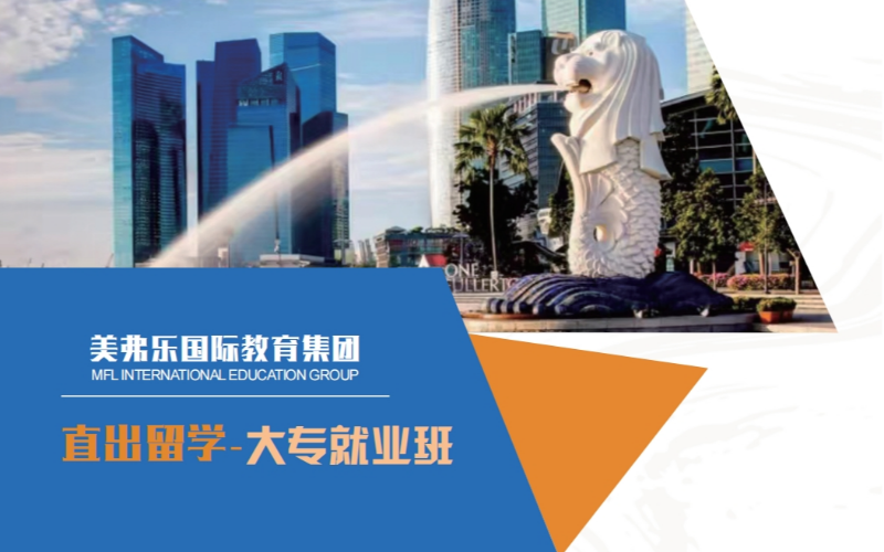 新加坡直出留学航空运营大专就业班